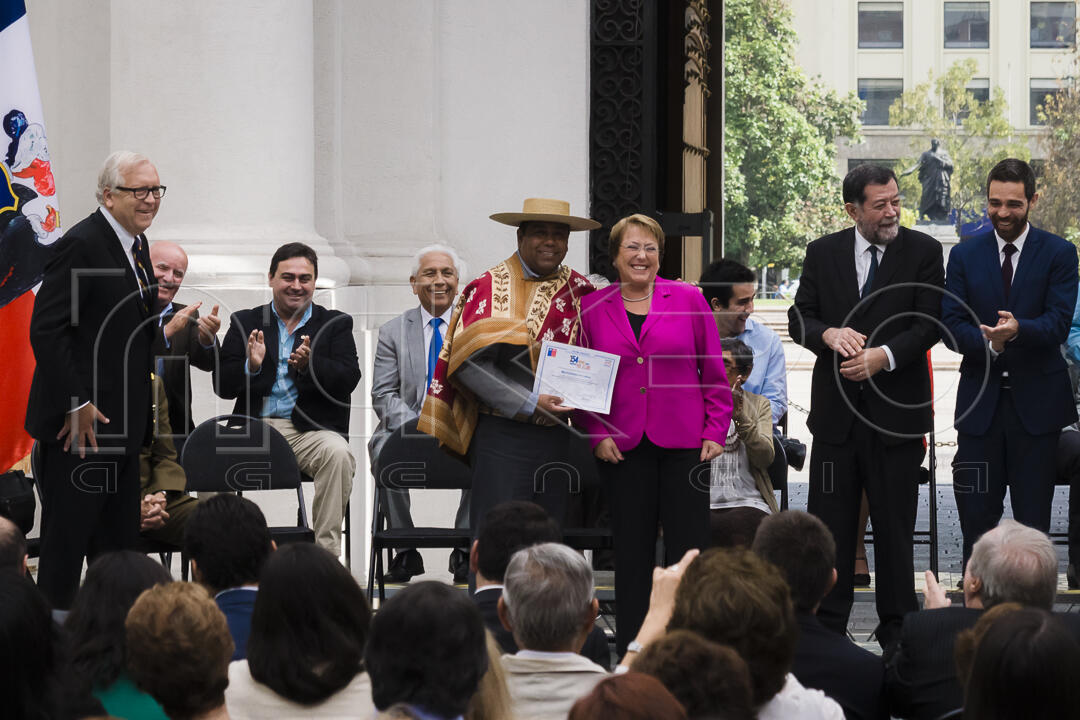 Entrega Fondo Nacional Seguridad Pública 2015