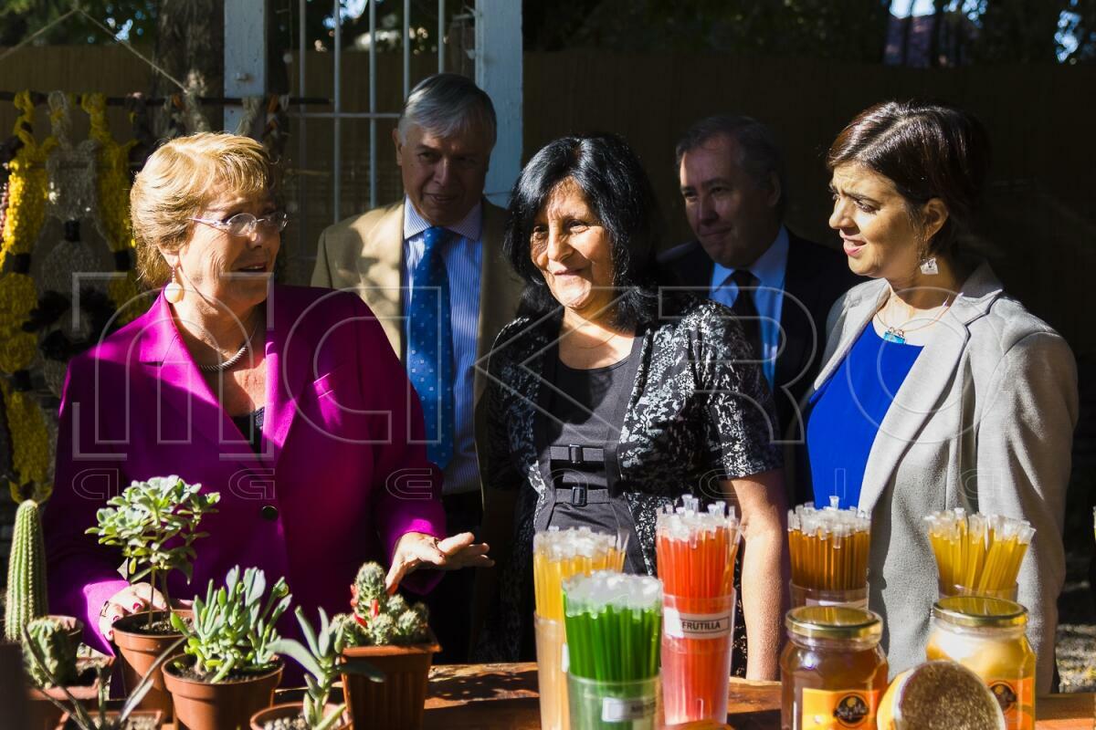 Mesa Nacional de Mujeres Rurales 2016