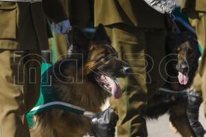 Día de las Glorias del Ejército de Chile